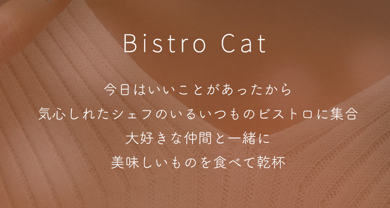 ビストロキャット