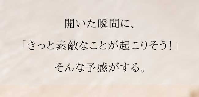 ハースケジュールバッグ