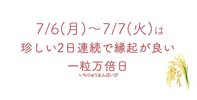 ハースケジュール