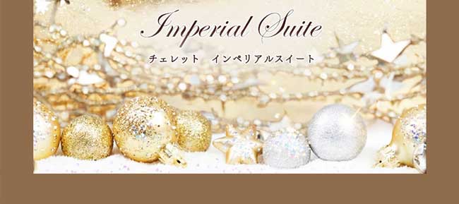 ハースケジュールバッグ