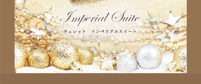 ハースケジュールバッグ