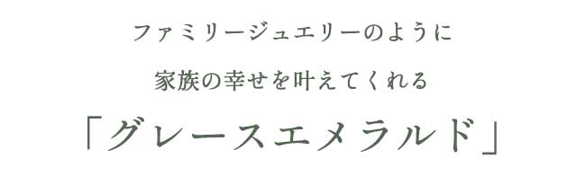 ハースケジュールバッグ