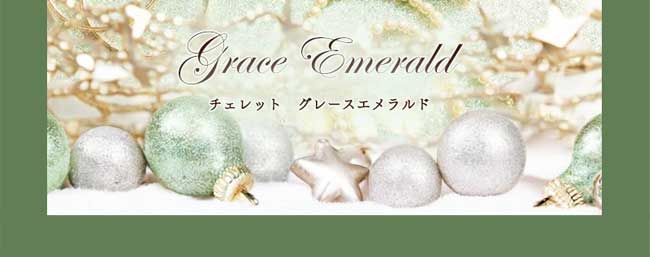 ハースケジュールバッグ