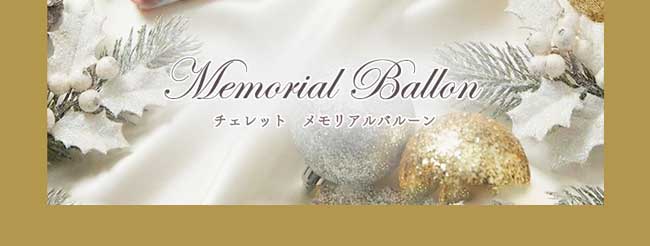 ハースケジュールバッグ